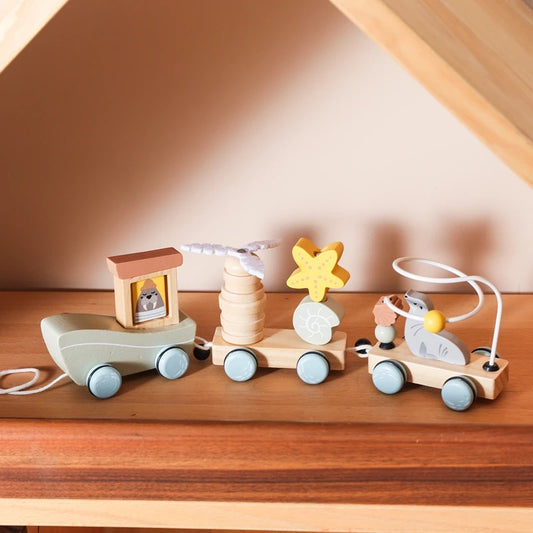 Ocean Pull-Along Train