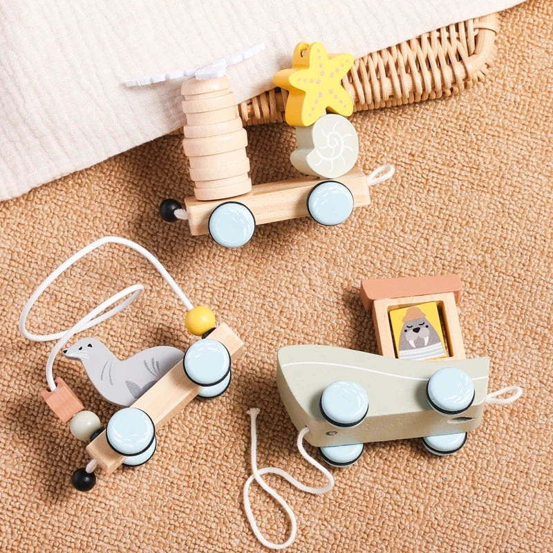 Ocean Pull-Along Train