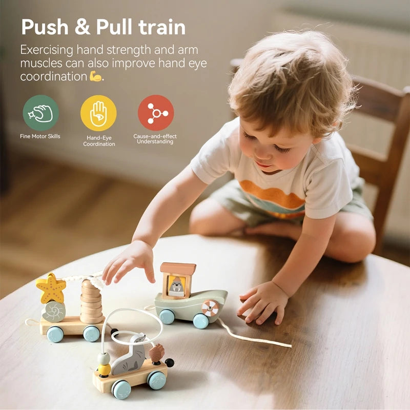 Ocean Pull-Along Train