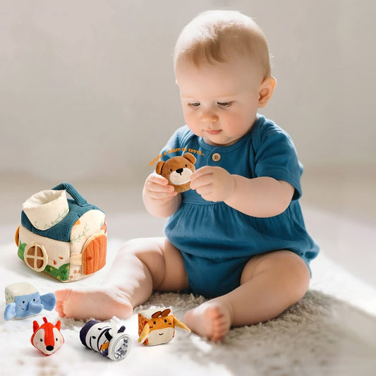 Baby Montessori Sensory Tissue Box Toy Set