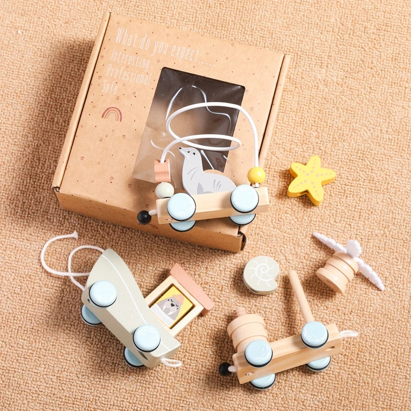 Ocean Pull-Along Train