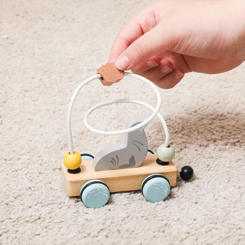 Ocean Pull-Along Train