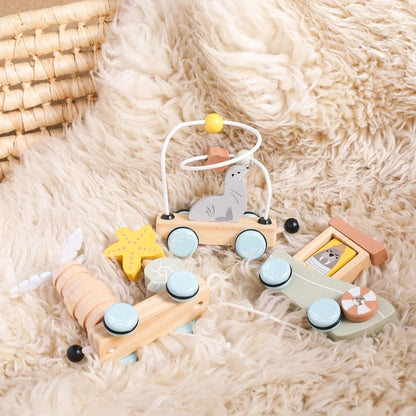 Ocean Pull-Along Train