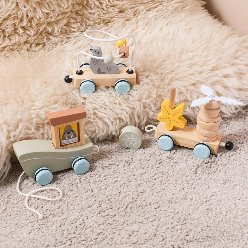 Ocean Pull-Along Train