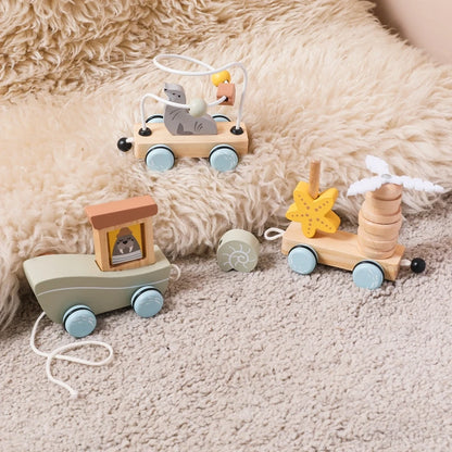 Ocean Pull-Along Train