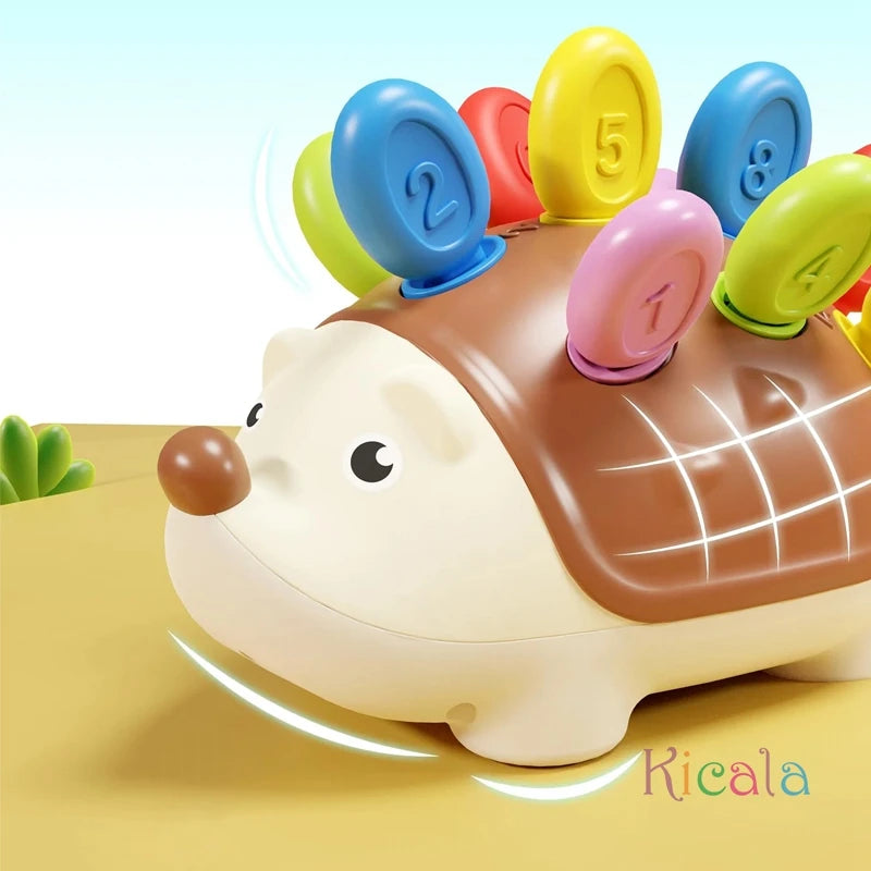 Baby Hedgehog Montessori Toy
