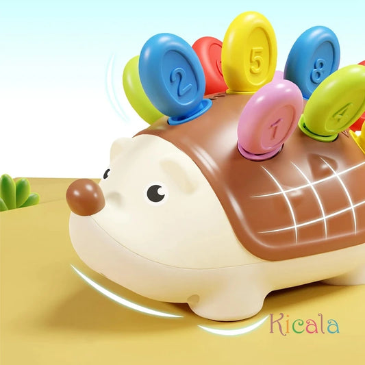 Baby Hedgehog Montessori Toy
