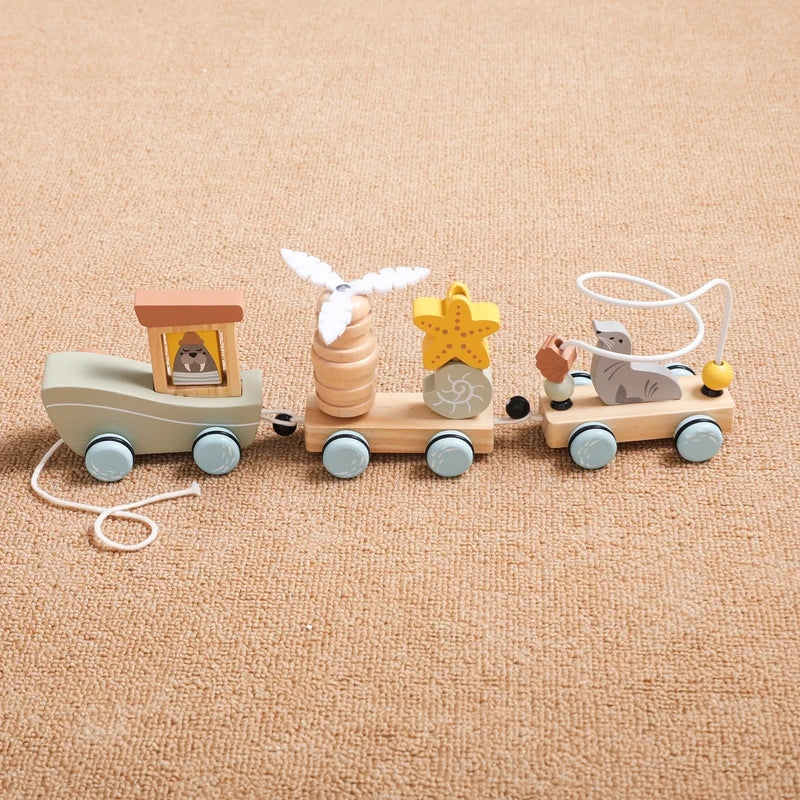 Ocean Pull-Along Train