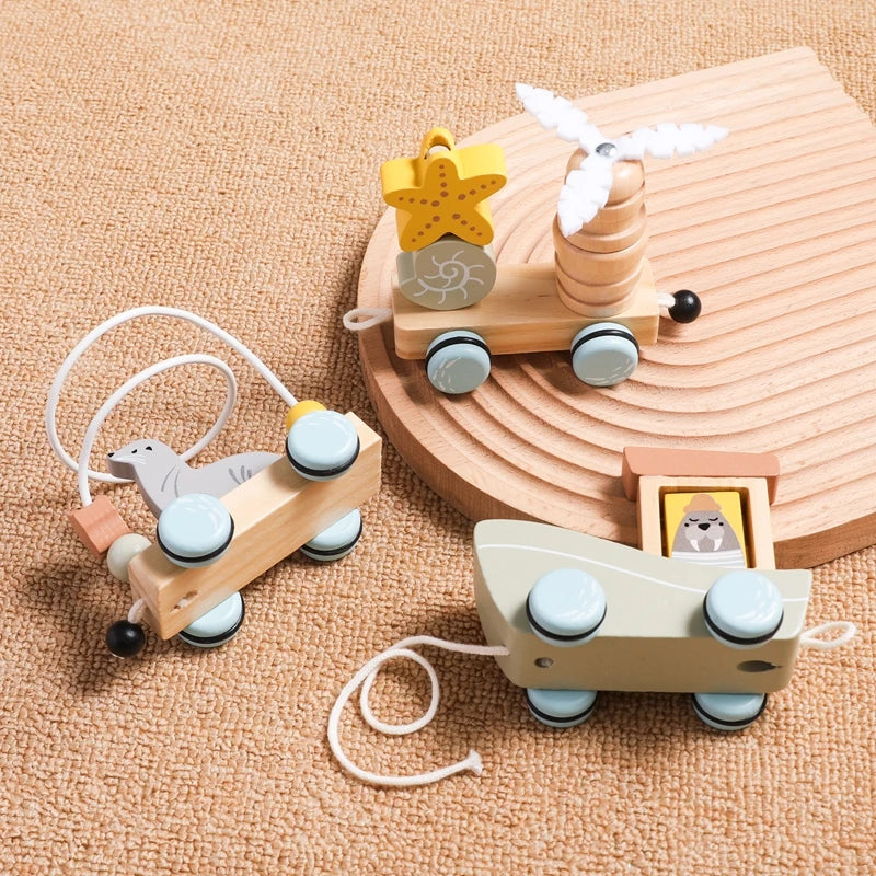 Ocean Pull-Along Train