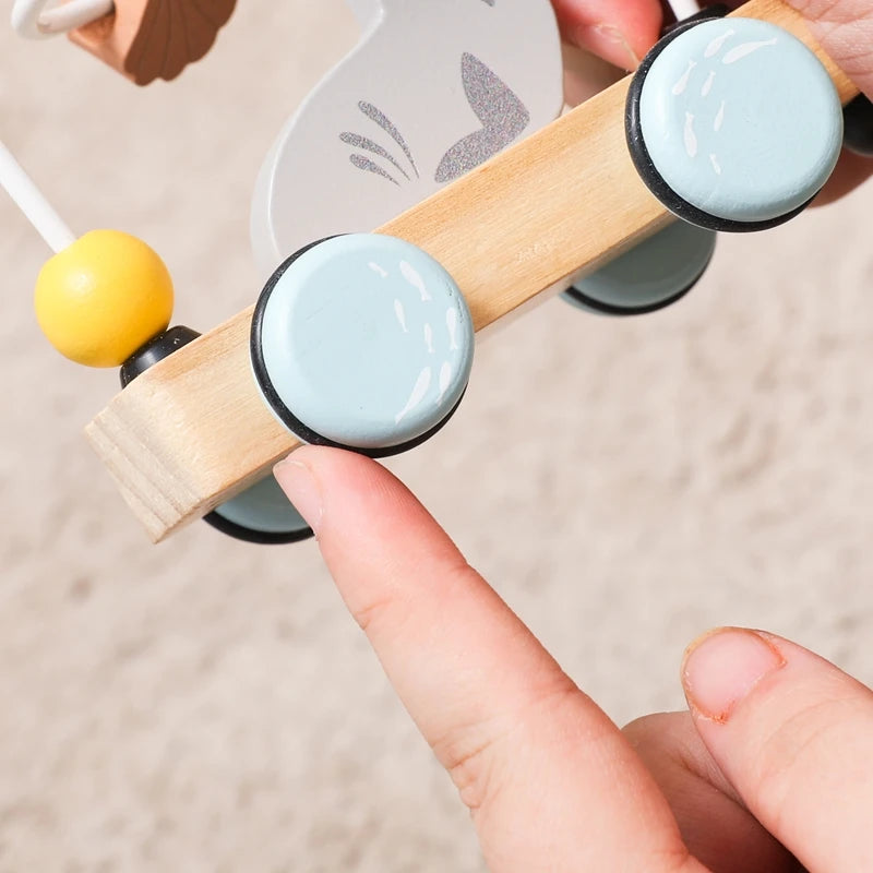 Ocean Pull-Along Train